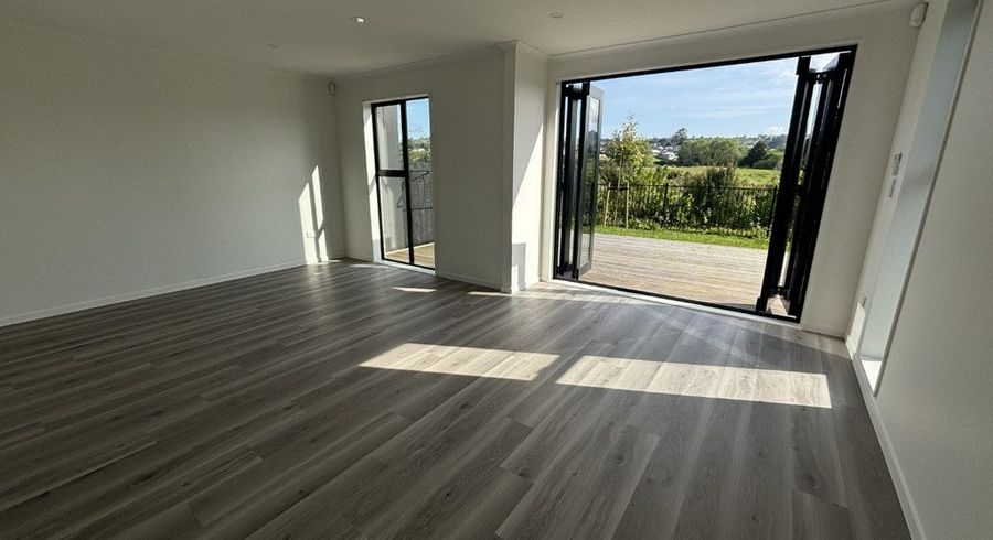  at 17 Waikaha Street, Pōkeno