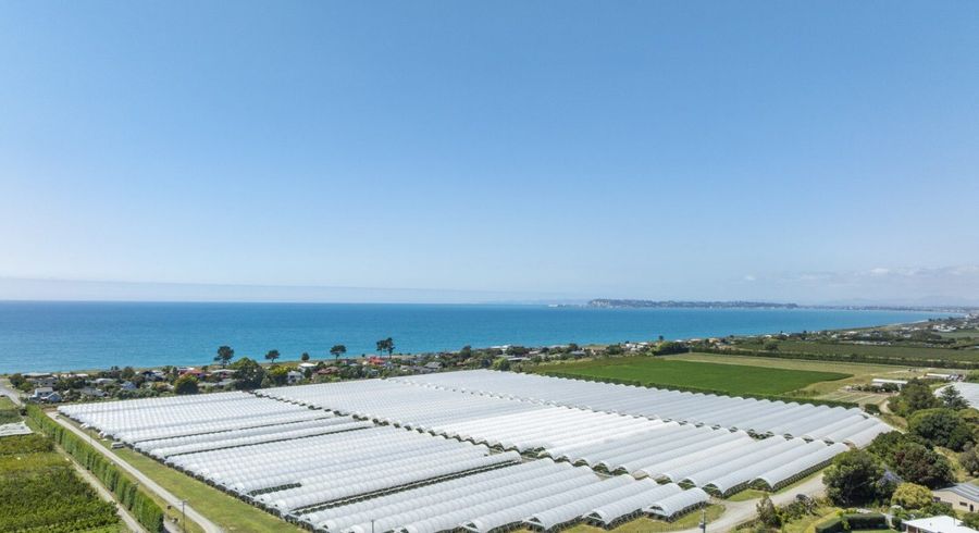  at Thurley Place, Bay View, Napier, Hawke's Bay