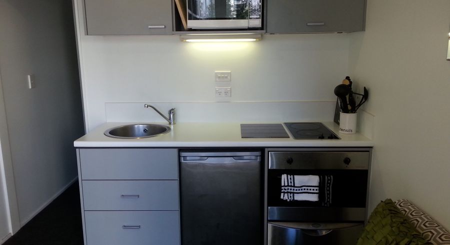  at 316/72 Nelson Street, Auckland Central, Auckland
