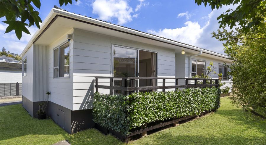  at 6 Mannering Place, Hillcrest, Auckland