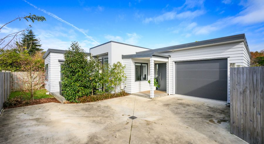 at 18A East Street, Terrace End, Palmerston North, Manawatu / Whanganui