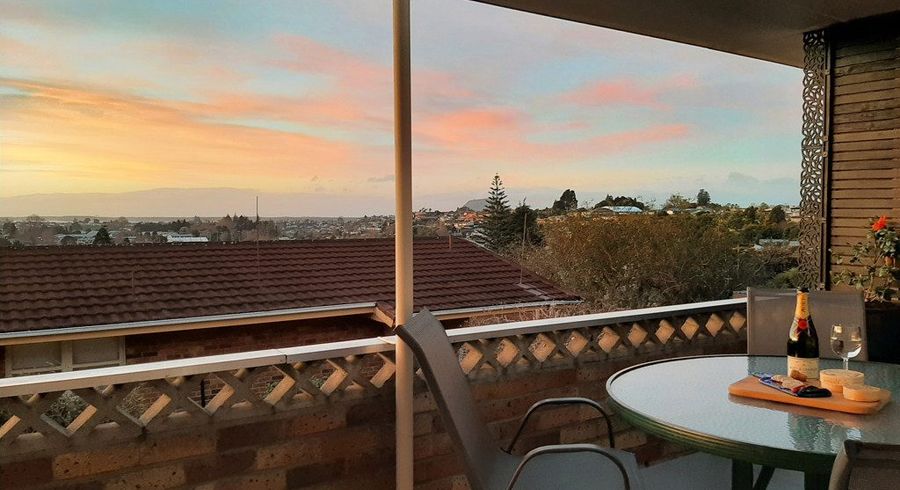  at 24 Upland Street, Brookfield, Tauranga