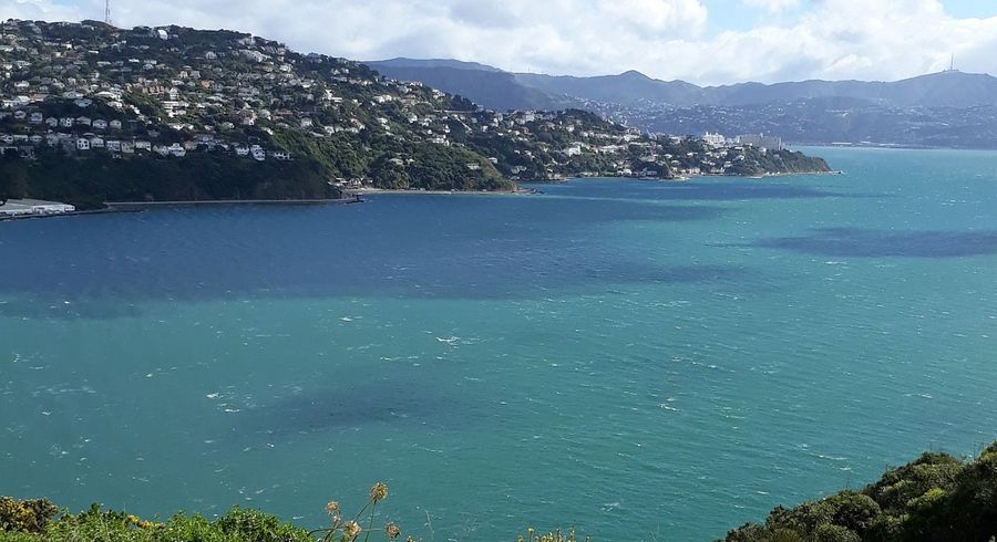  at 23 Rangitane Street, Maupuia, Wellington, Wellington