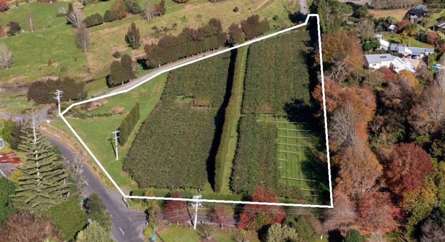  at 394 Old Highway, Whakamarama, Whakamārama