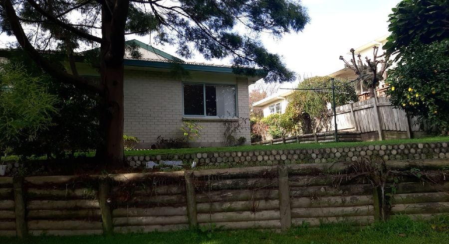  at 46 Te Koari Ave - BROOKFIELD, Brookfield, Tauranga, Bay Of Plenty
