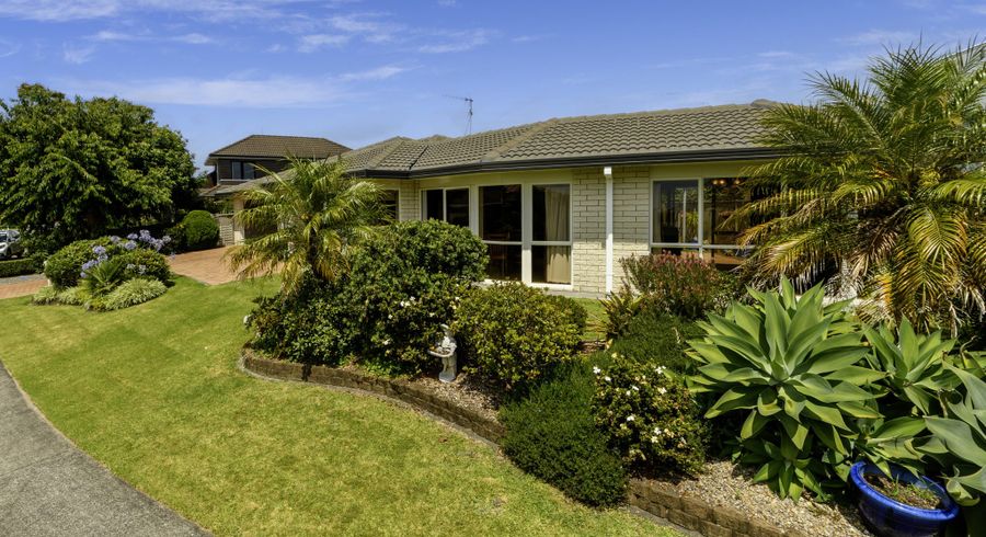  at 12 Avocet Avenue, Maungatapu, Tauranga