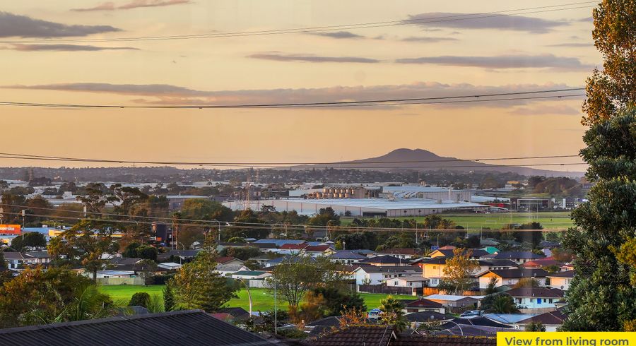  at 19 Mataura Place, Clover Park, Auckland