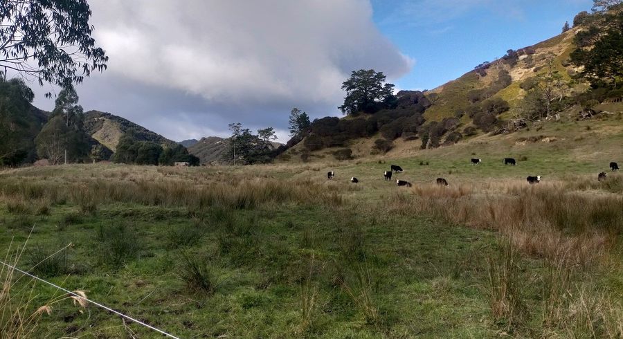  at 900 Okau Road, Ahititi, Urenui