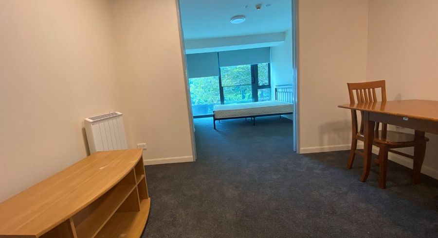  at 210/135 Hobson Street, Auckland Central, Auckland