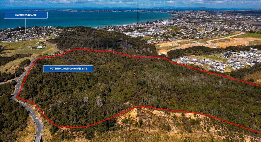  at 160 Hillcrest Road, HATFIELDS BEACH, OREWA
