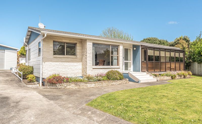  at 20 Treadwell Street, Springvale, Whanganui