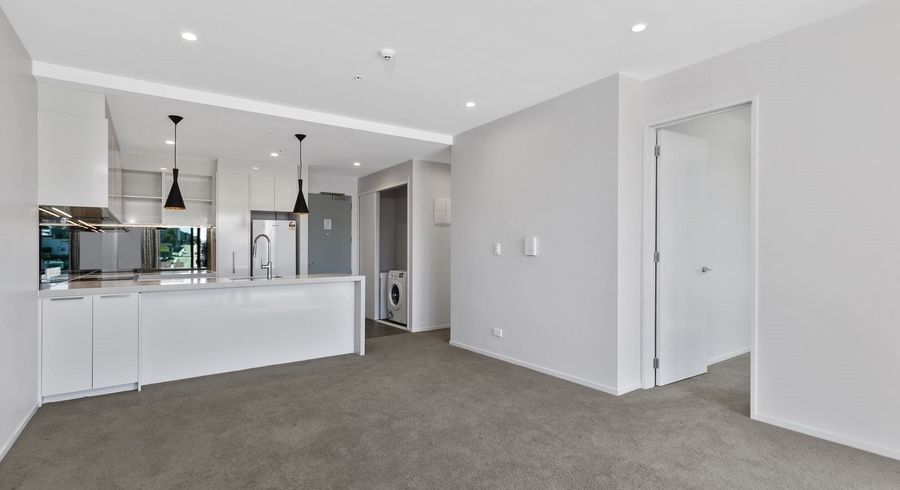  at 315/25 Enfield street, Mount Eden, Auckland City, Auckland