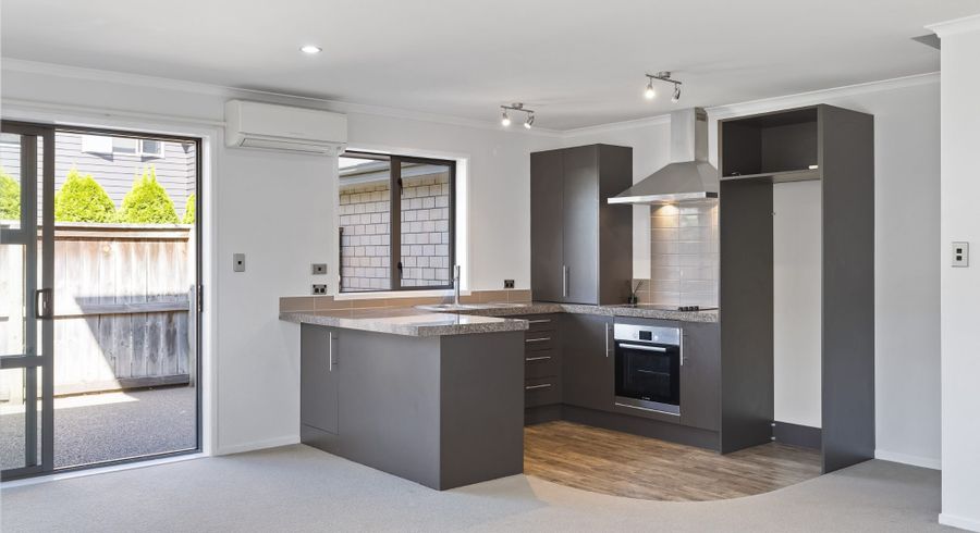  at 17  Stadium Lane, Whitiora, Hamilton, Waikato