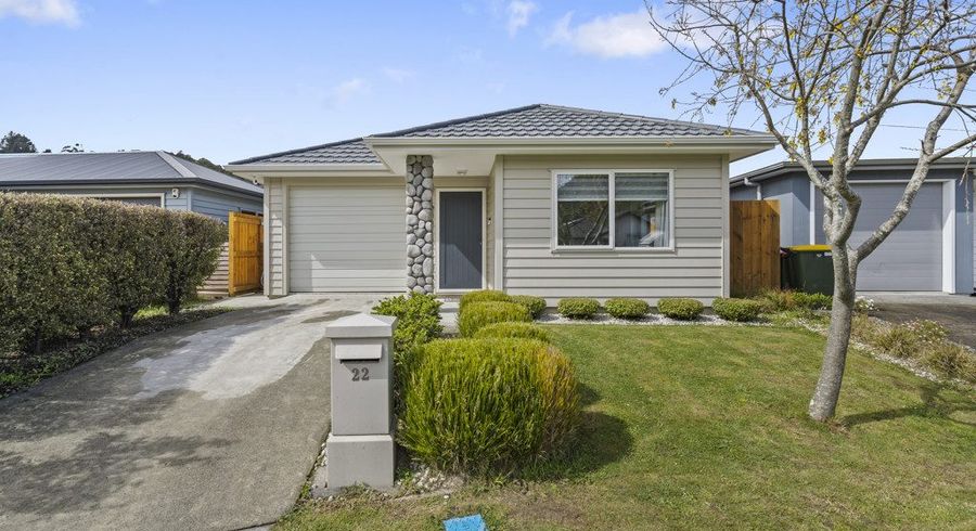  at 22 Te Toru Street, Taita, Lower Hutt, Wellington