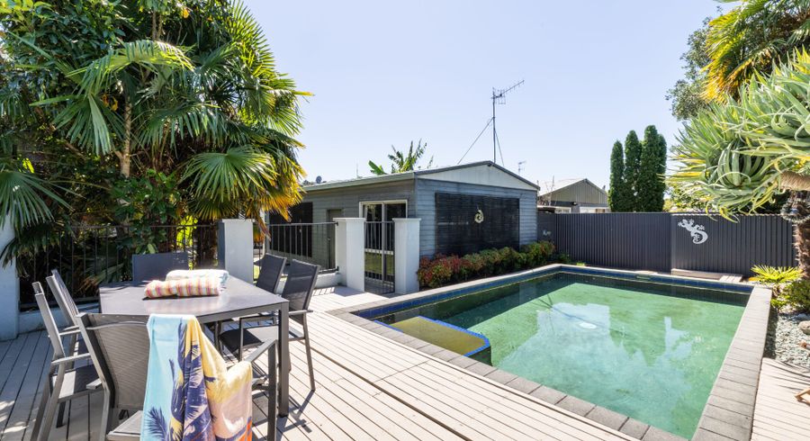  at 41 Carnell Street, Napier South, Napier, Hawke's Bay