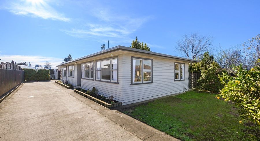  at 25 Litchfield Street, Redwoodtown, Blenheim