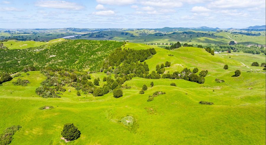  at 162 Tangowahine Valley Road, Tangowahine, Kaipara, Northland