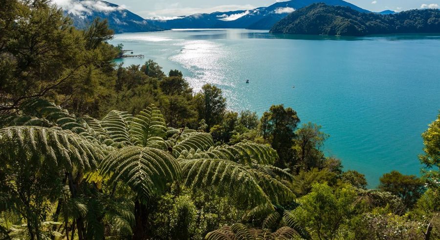  at Lot 11 Whatanihi Bay, Pelorus Sounds, Marlborough, Marlborough