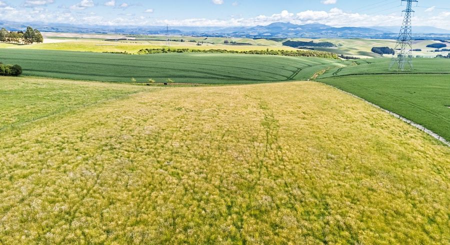  at Rolling Ridges Road, Timaru, Timaru, Canterbury