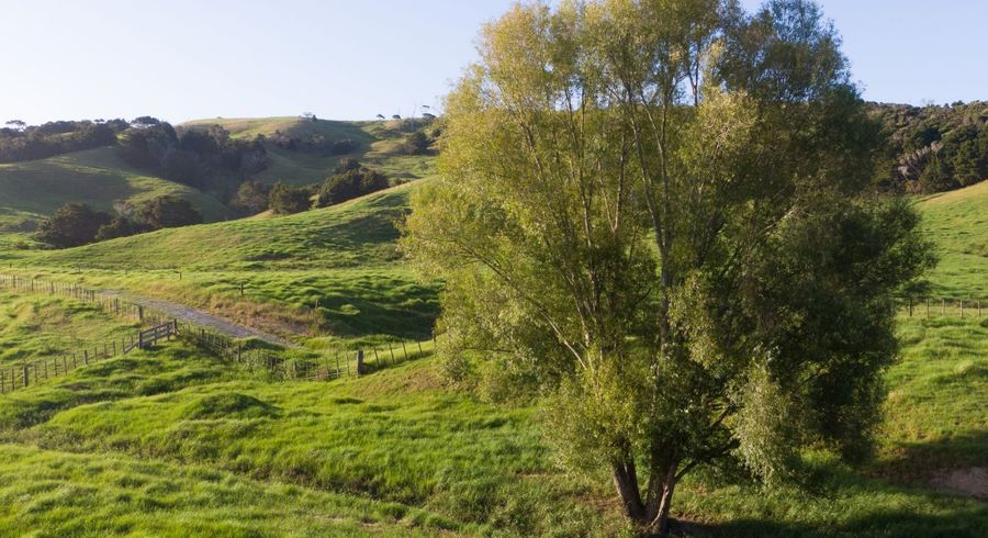  at 45 Churton Road, Kaingaroa, Far North, Northland