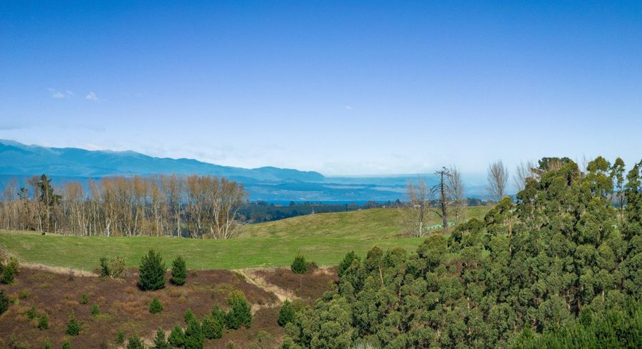  at 65 Palmer Mill Road, Wairakei, Taupo