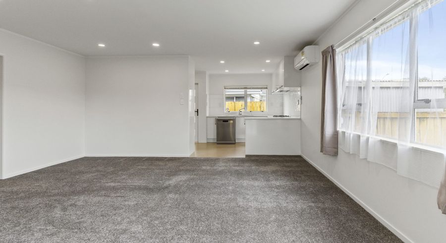  at 1/20 Bertrand Road, Mount Wellington, Auckland City, Auckland