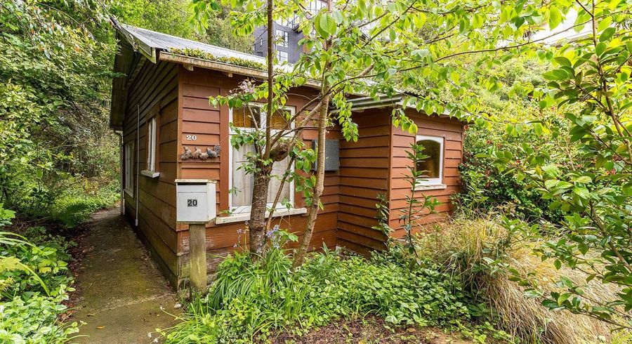  at 20 Cosy Dell Road, North Dunedin, Dunedin