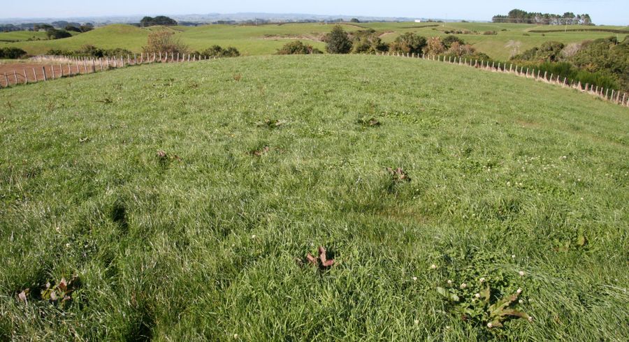  at 6/389 Opunake Road, Stratford West, Stratford, Taranaki