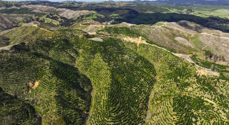  at Highway 22, Ngaruawahia, Waikato, Waikato