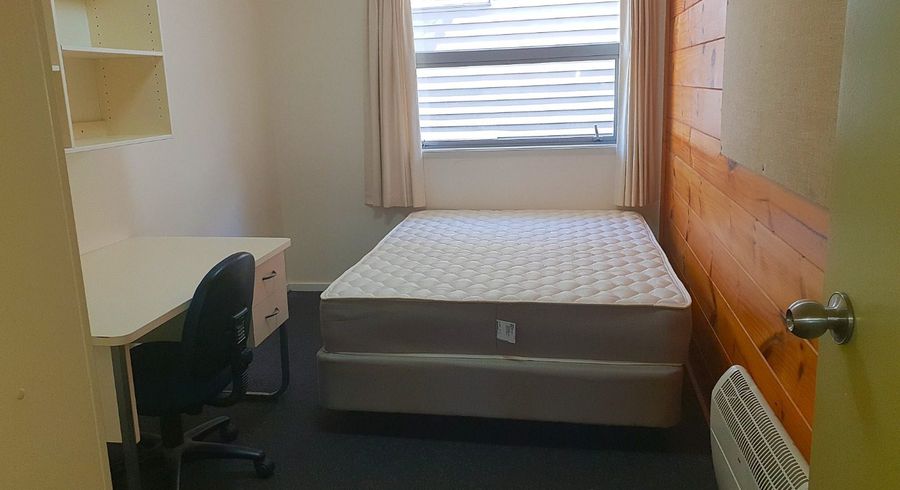  at 22 Room D/19-21 Drummond Street , Mount Cook, Wellington, Wellington