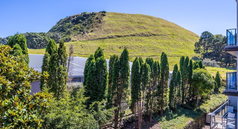  at 26/68 Mountain Road, Mount Wellington, Auckland