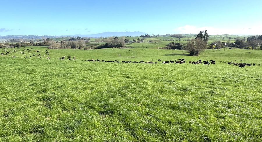  at 233B Kio Kio Station Road, Otorohanga, Otorohanga, Waikato