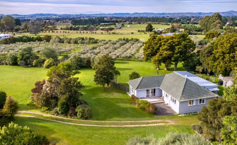  at 17 Tararua Drive, Upper Plain, Masterton