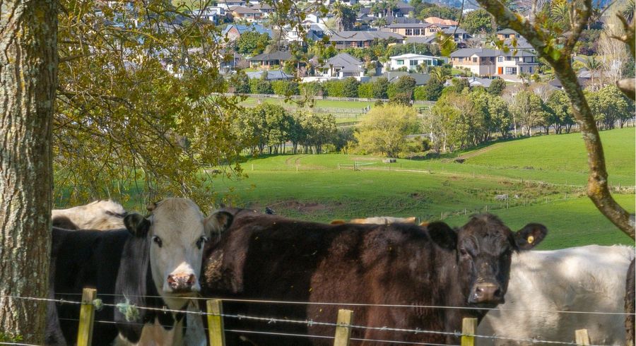  at 563 State Highway 23, Temple View, Hamilton, Waikato