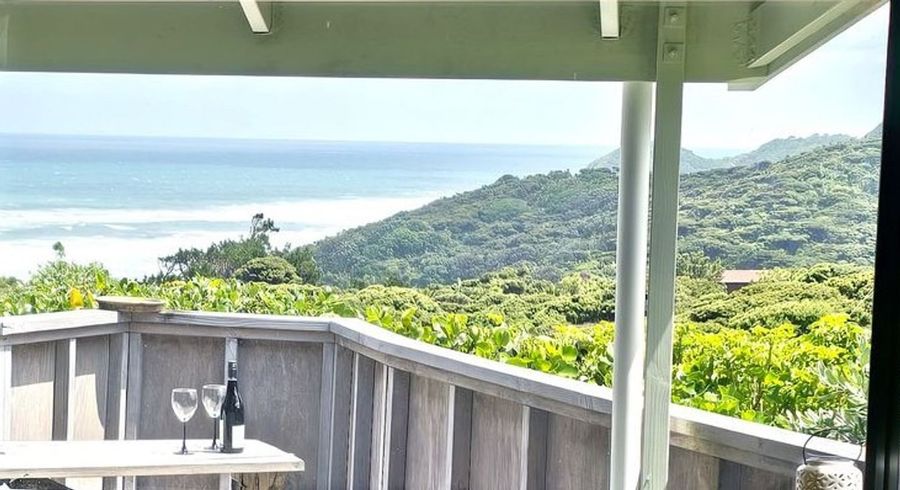  at 117 Seaview Road, Piha, Waitakere City, Auckland