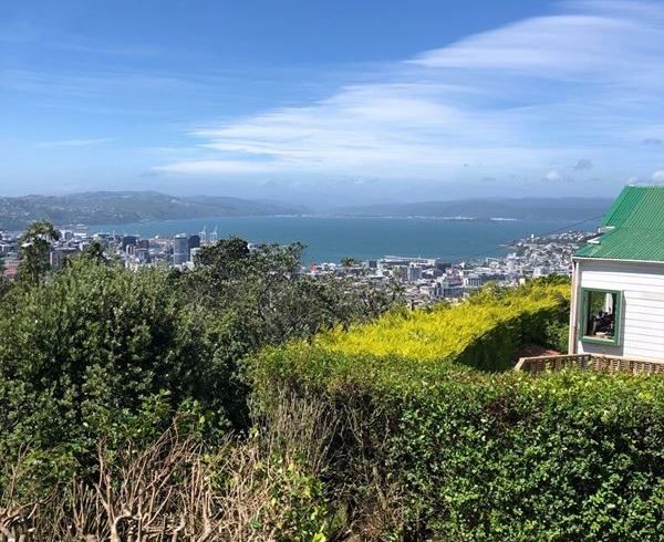  at 1/45 Apuka St, Brooklyn, Wellington, Wellington