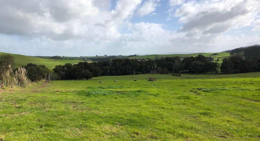  at 0 Sail Rock Road, Ruakaka, Ruakaka