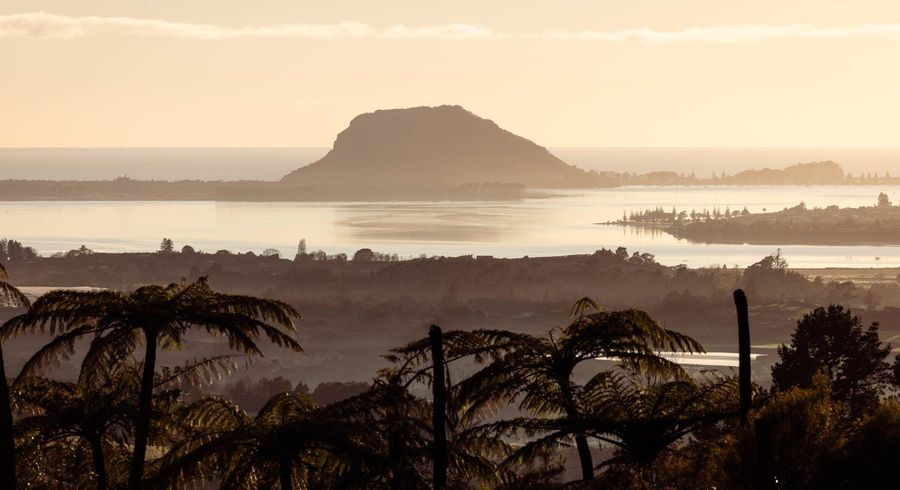  at 8 Pheasant Lane, Te Puna, Western Bay Of Plenty, Bay Of Plenty