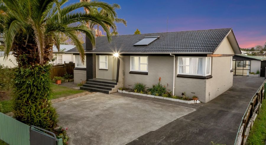  at 38 Pinedale Place, Henderson, Waitakere City, Auckland