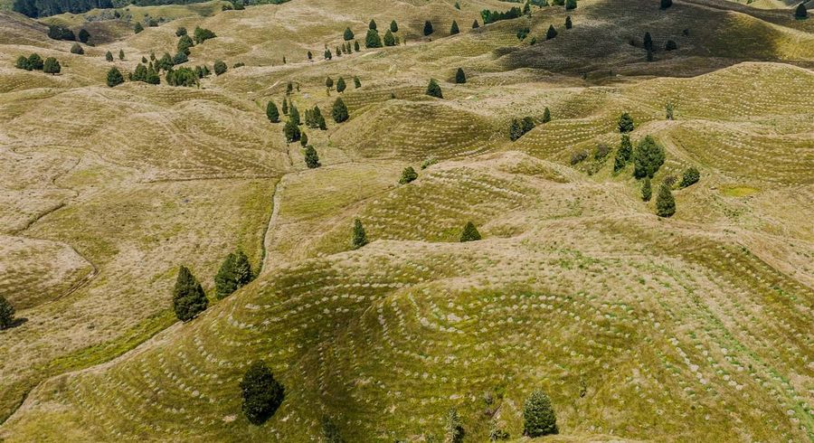  at 484 Mangapapa Road, Stratford, Stratford, Taranaki