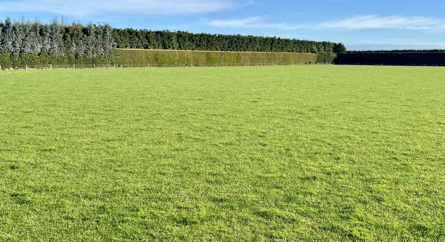  at 40 Billy Way, West Plains, Invercargill, Southland