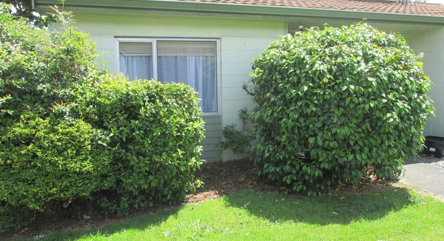  at 17A Churchill Avenue, Hokowhitu, Palmerston North, Manawatu / Whanganui