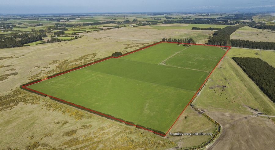  at Thompsons Road, West Melton, Selwyn, Canterbury