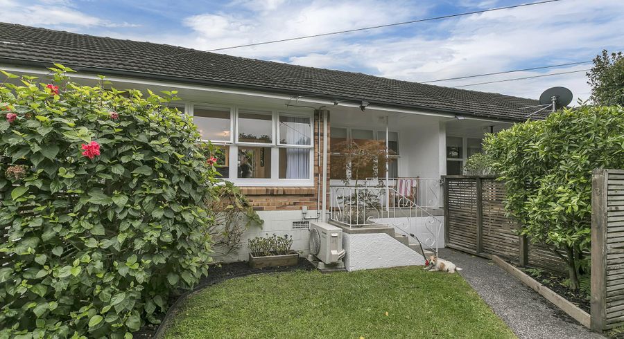  at 3/8 Shirley Road, Grey Lynn, Auckland