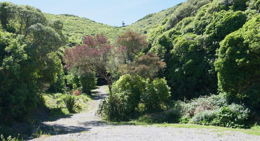  at 184 Glanmire Road, Newlands, Wellington, Wellington