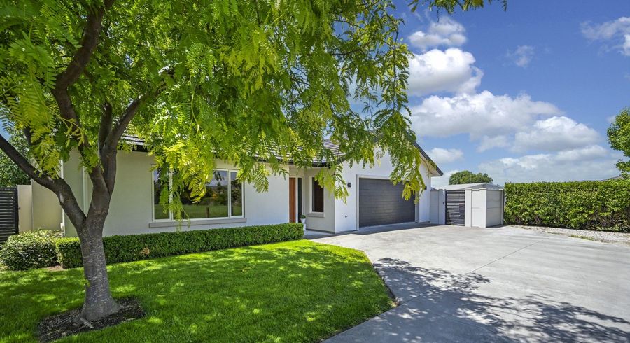  at 55 Northwood Avenue, Mahora, Hastings