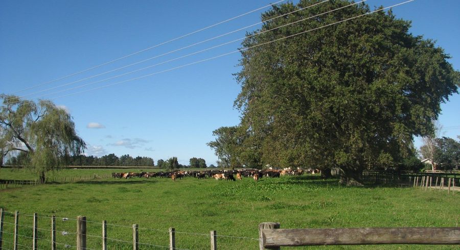  at 118 Costall Road, Wardville, Waharoa