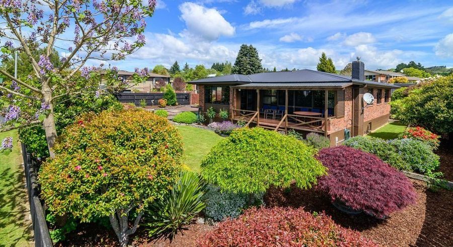  at 1 Windsor Street, Springfield, Rotorua, Bay Of Plenty