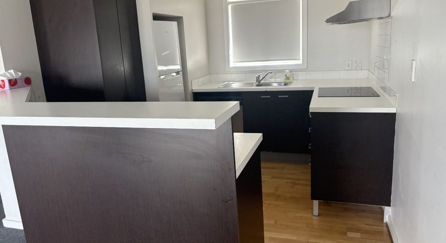  at 2 Western Springs Road, Kingsland, Auckland City, Auckland