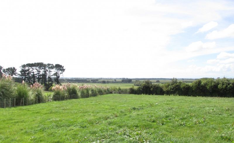  at 35 Laward Road, Palmerston North